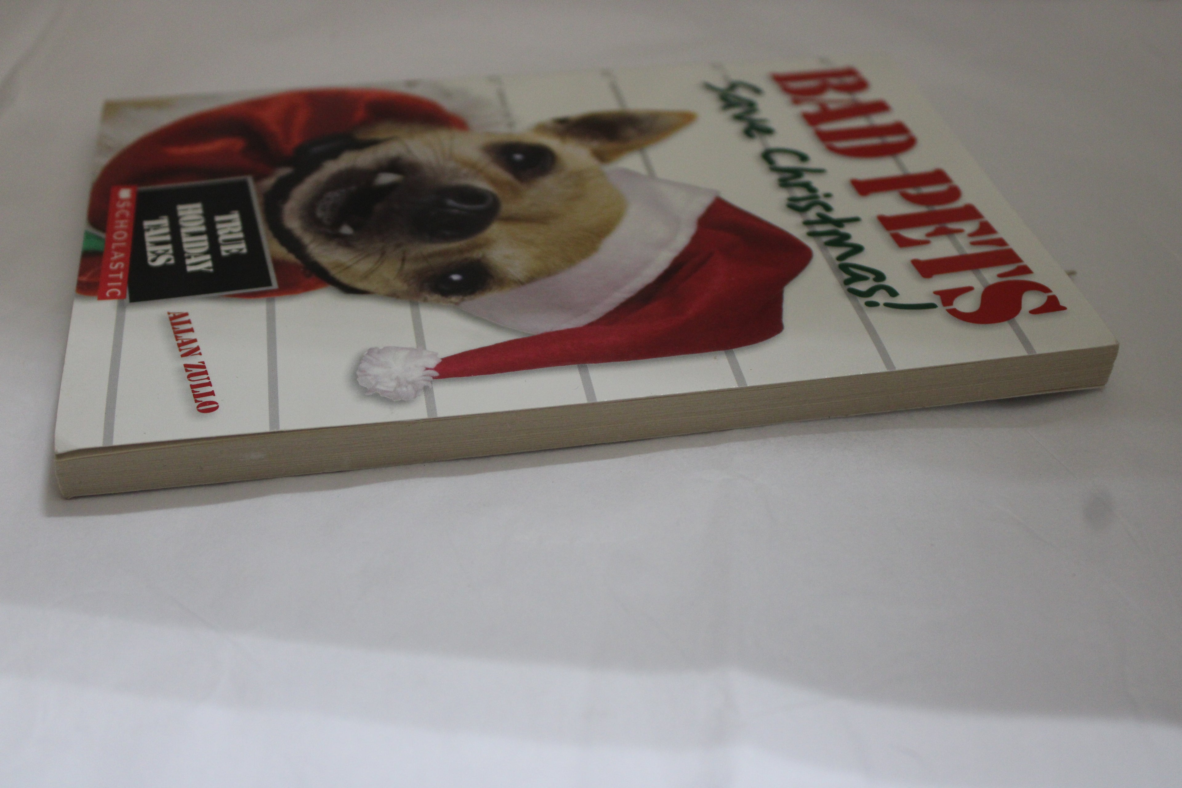 Bad Pets: Save Christmas!