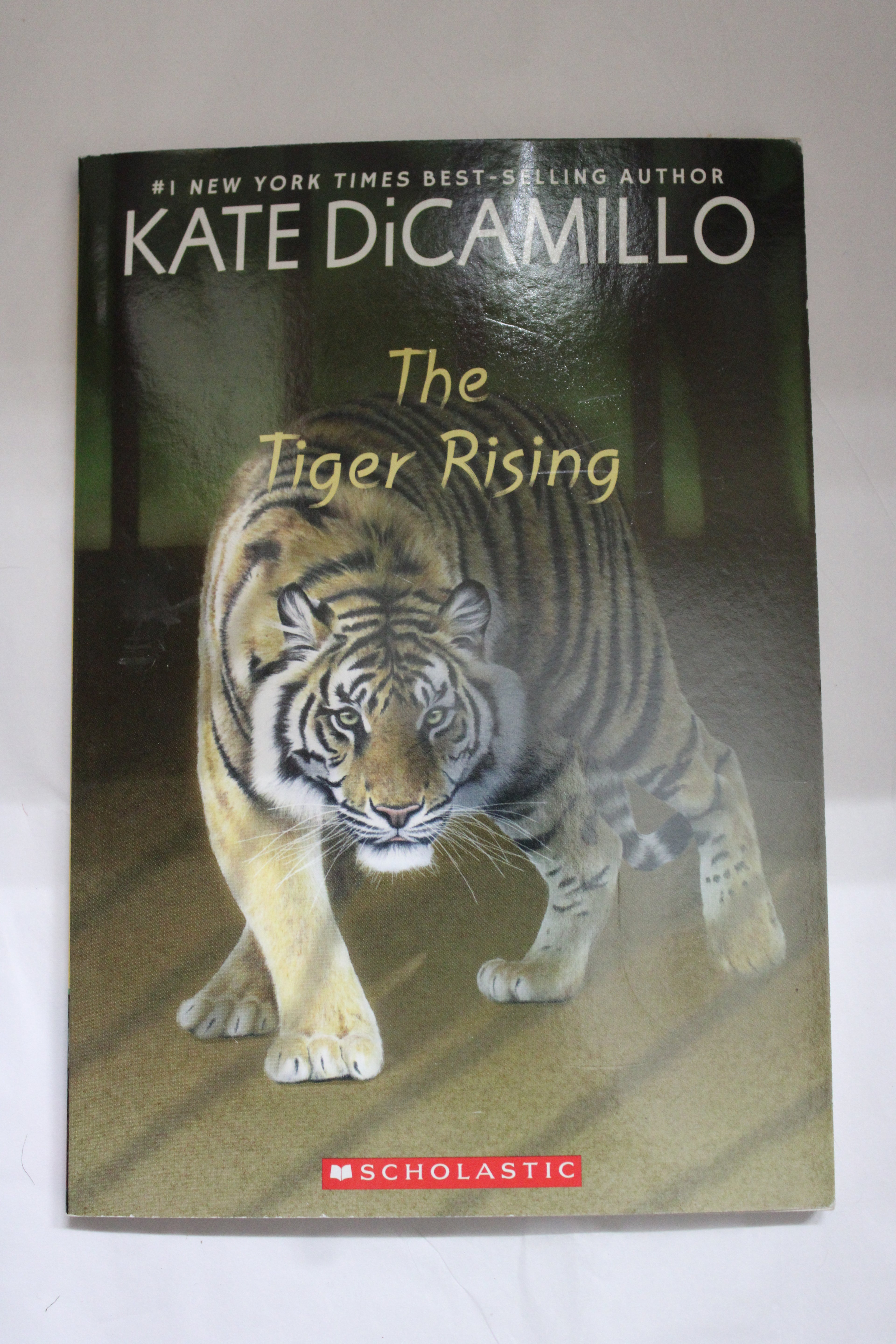 The Tiger Rising