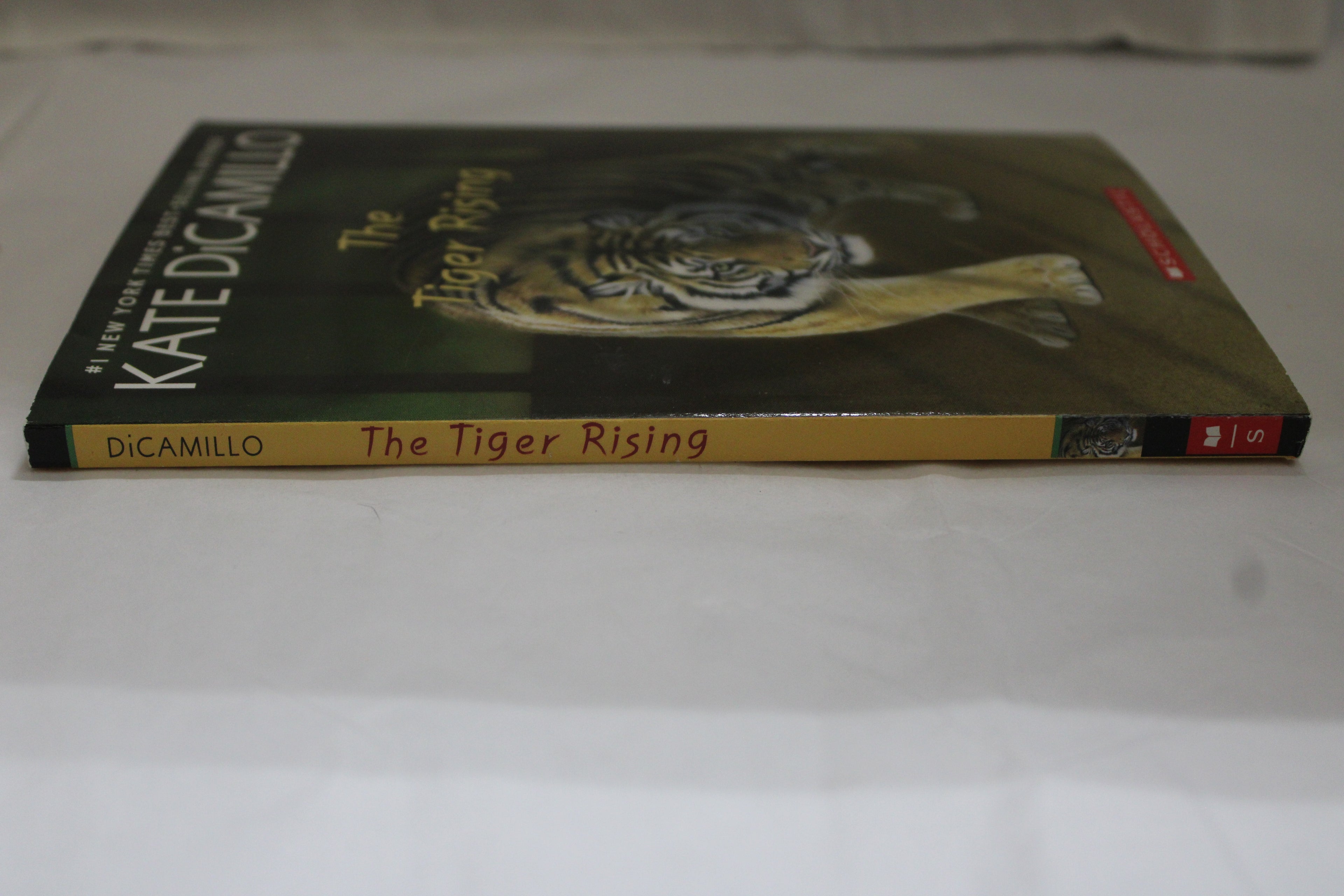 The Tiger Rising