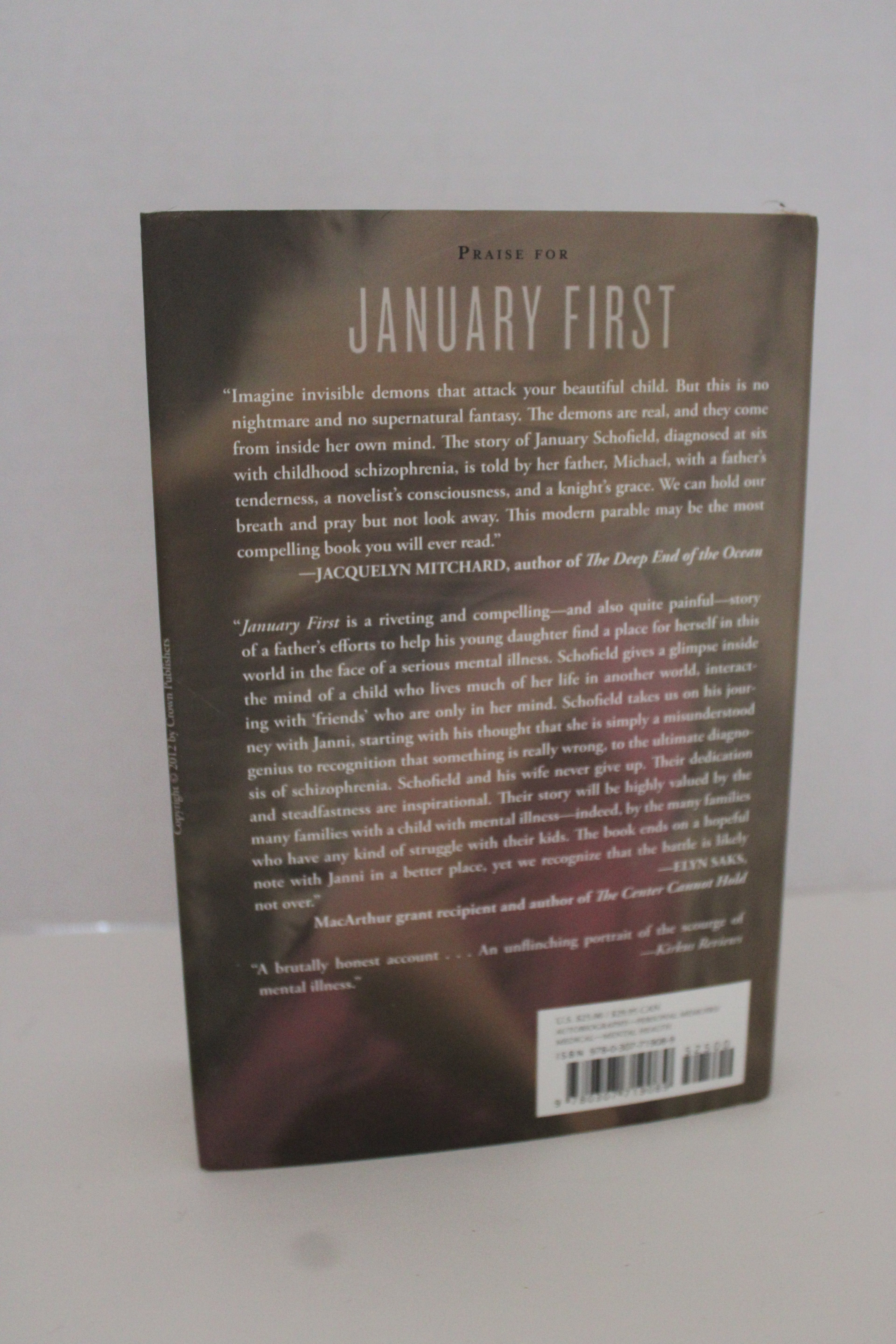 January First by Michael Schofield | Memoir / True Story | Used Book
