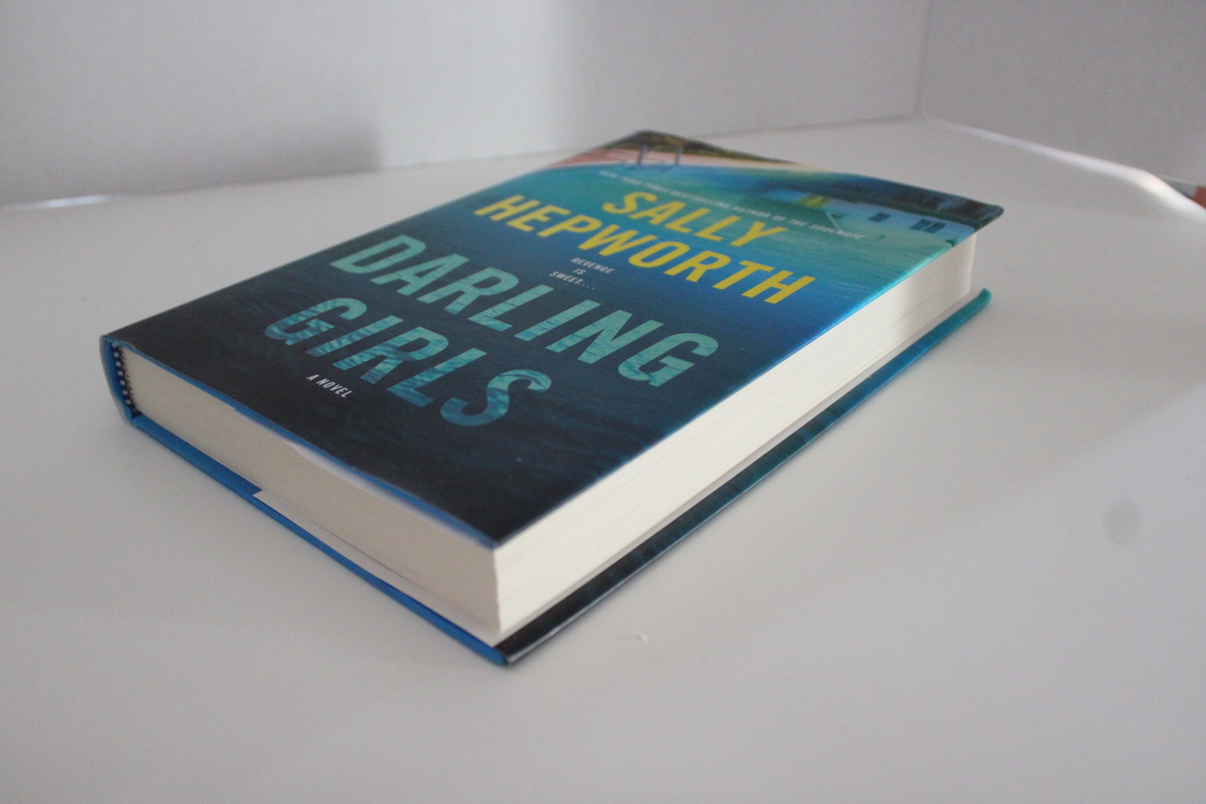 Darling Girls by Sally Hepworth | Used Psychological Thriller | Like New Book