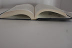 The Younger Wife by Sally Hepworth | Used Book | Psychological Thriller | Like New Condition