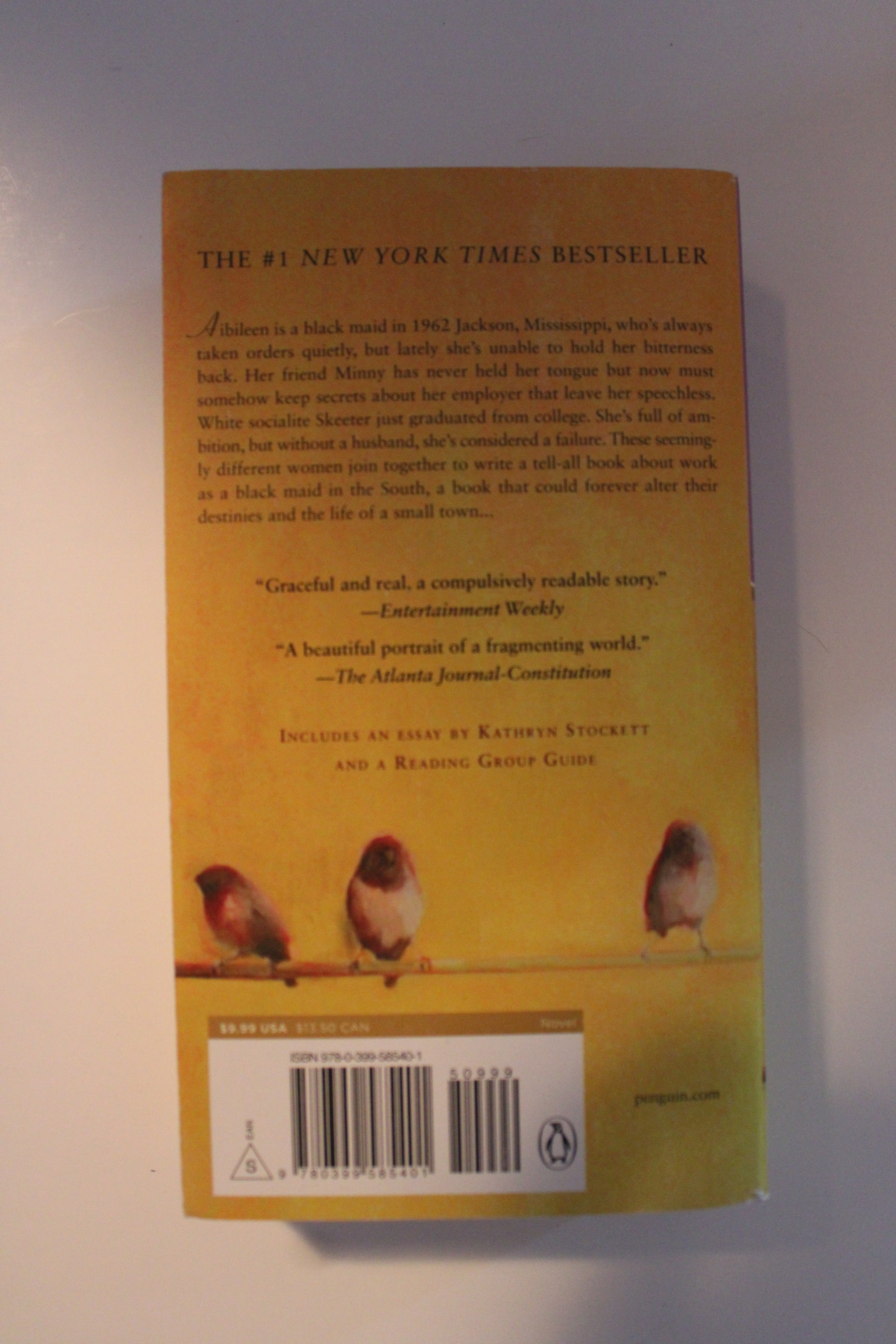 The Help by Kathryn Stockett | #1 New York Times Bestseller | Used Book
