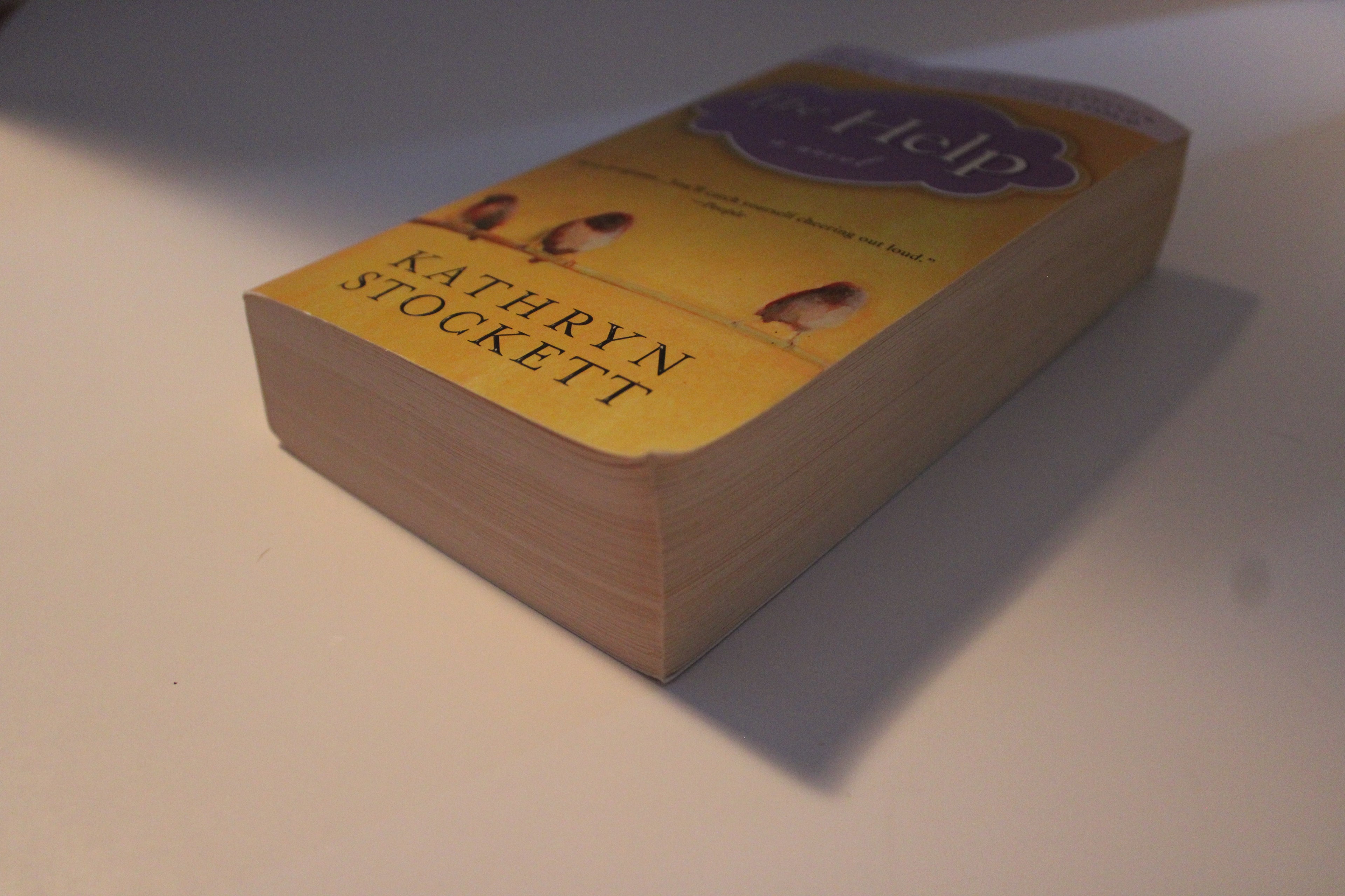 The Help by Kathryn Stockett | #1 New York Times Bestseller | Used Book